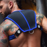 Breedwell Harnais Intimidator Breedwell Noir-Bleu